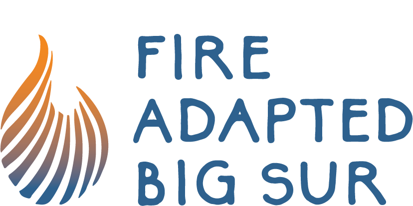 Fire Adapted Big Sur