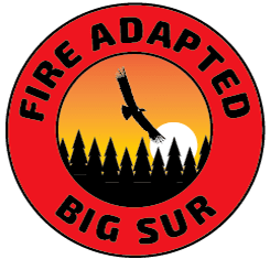 Fire Adapted Big Sur
